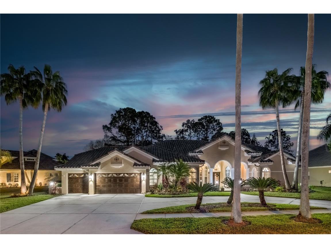 12028 Brewster Drive Tampa FL 33626 T3504337 image1