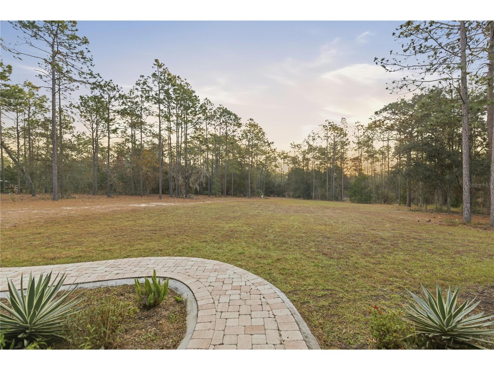 12028 S Pine Oak Terrace Floral City FL 34436 OM715915 image35