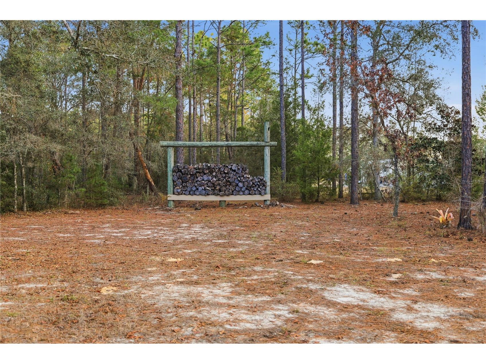 12028 S Pine Oak Terrace Floral City FL 34436 OM715915 image38