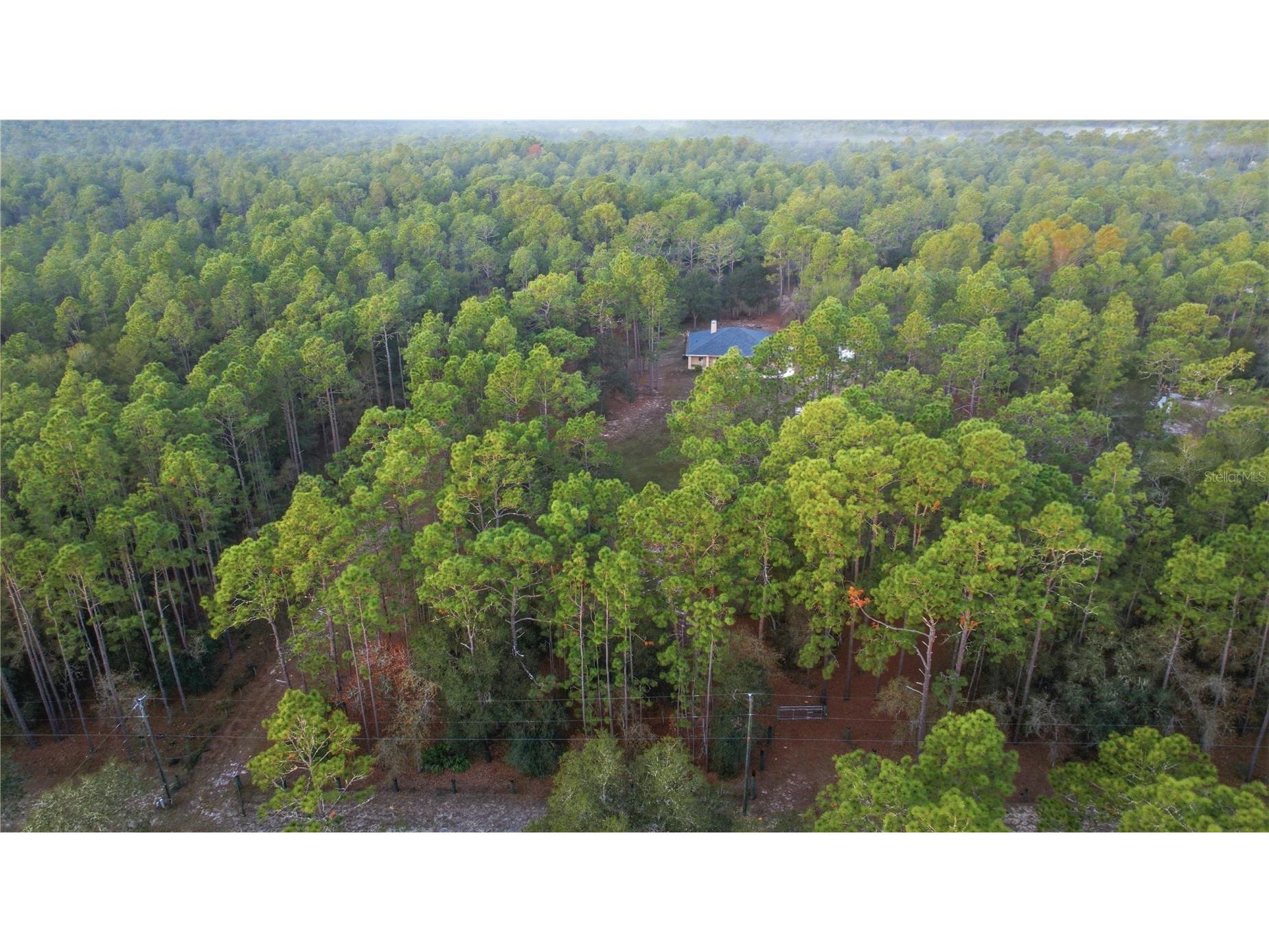 12028 S Pine Oak Terrace Floral City FL 34436 OM715915 image41