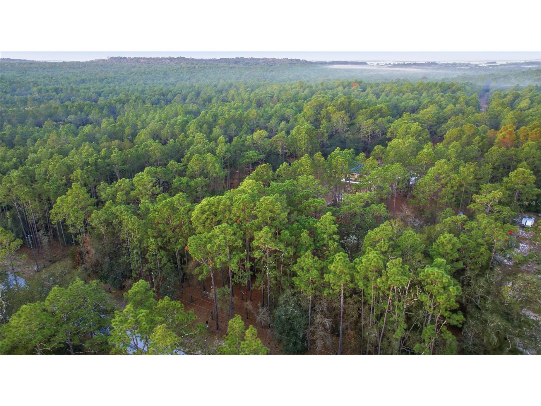 12028 S Pine Oak Terrace Floral City FL 34436 OM715915 image42