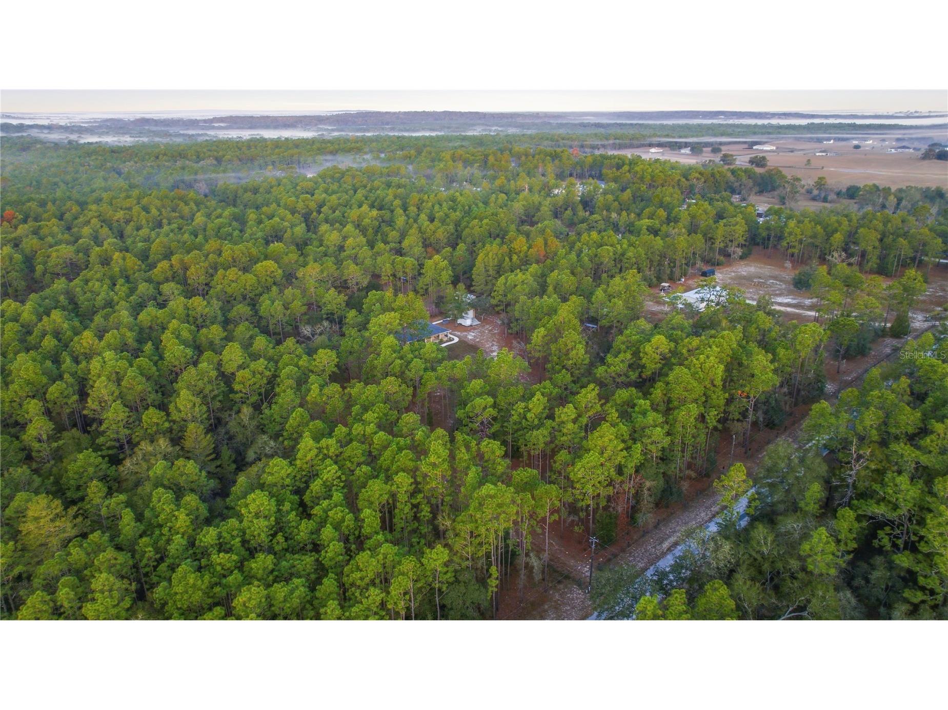 12028 S Pine Oak Terrace Floral City FL 34436 OM715915 image43