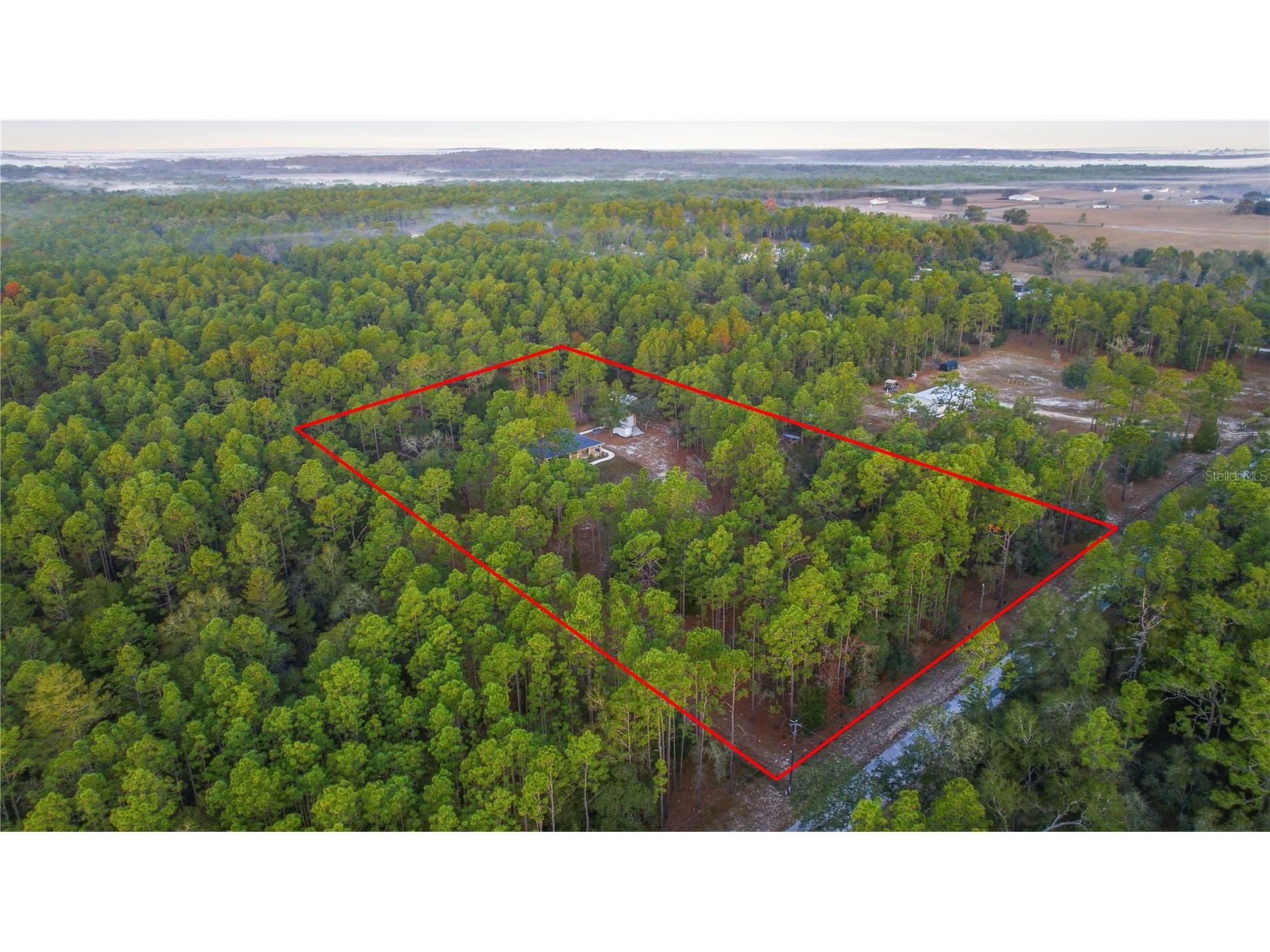 12028 S Pine Oak Terrace Floral City FL 34436 OM715915 image44