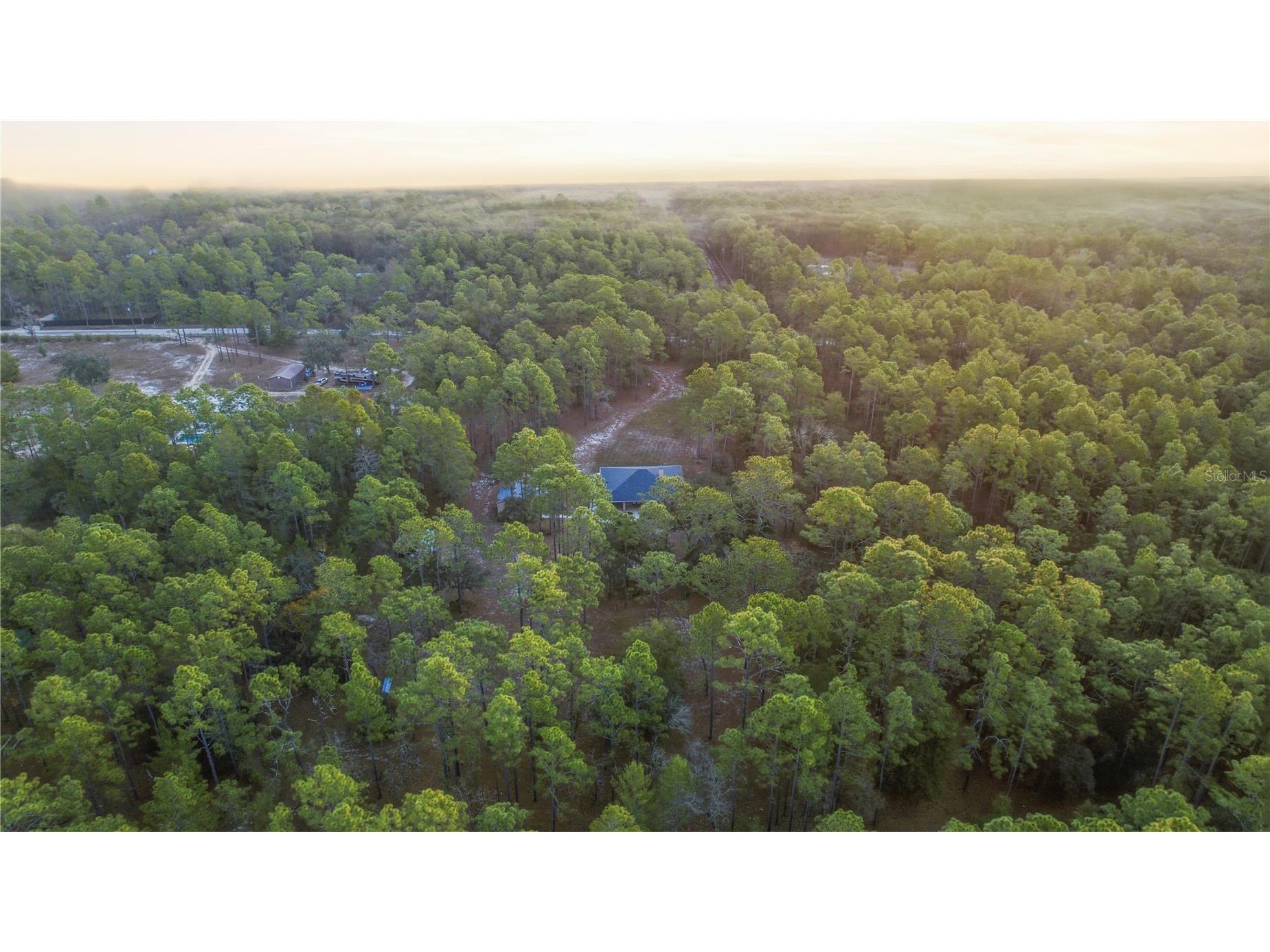 12028 S Pine Oak Terrace Floral City FL 34436 OM715915 image7