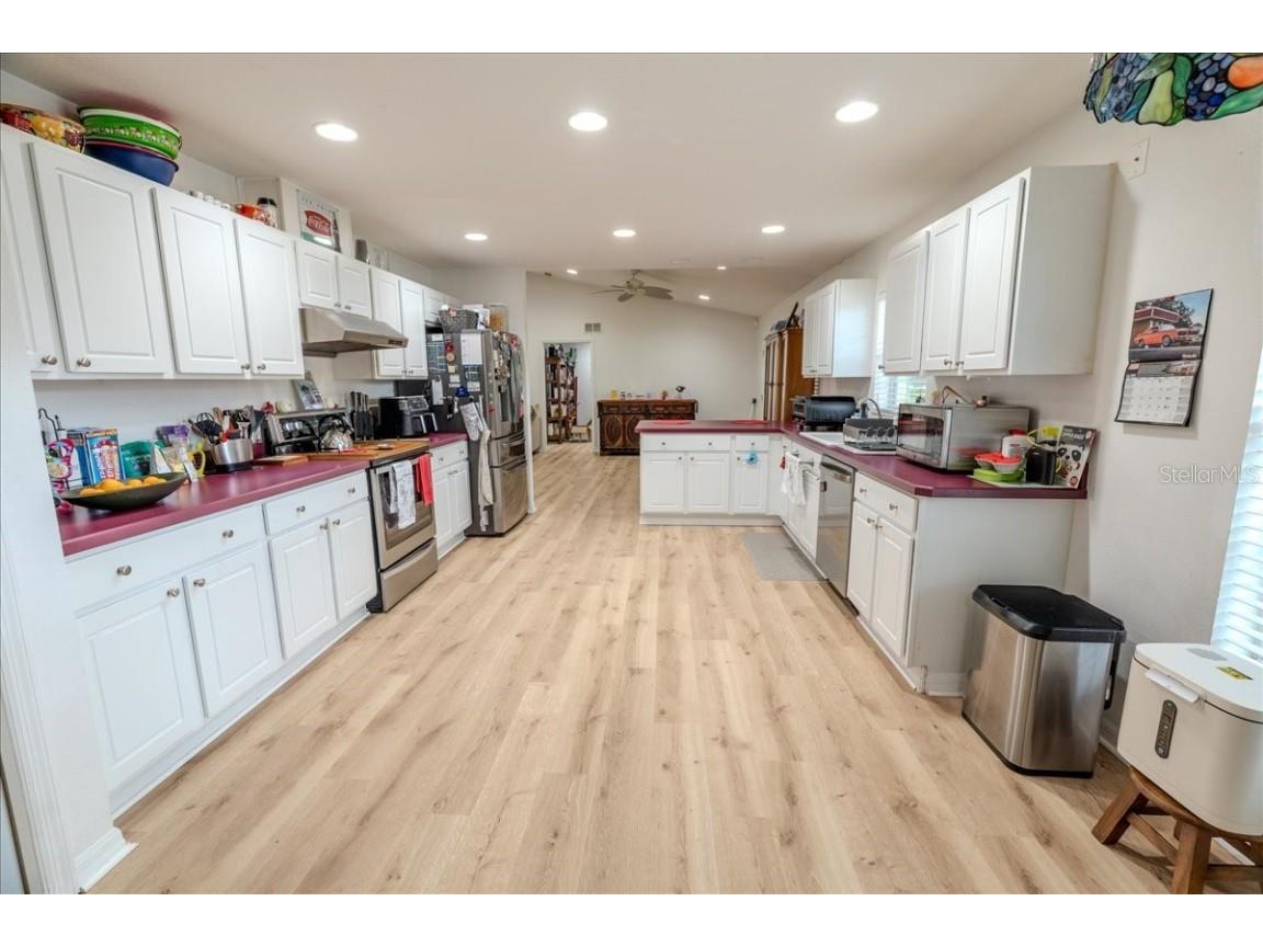 12028 San Angela Drive San Antonio FL 33576 TB8437608 image11