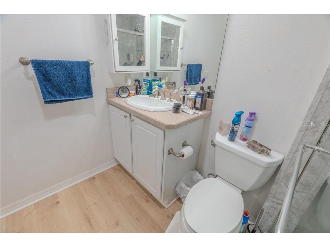 12028 San Angela Drive San Antonio FL 33576 TB8437608 image13