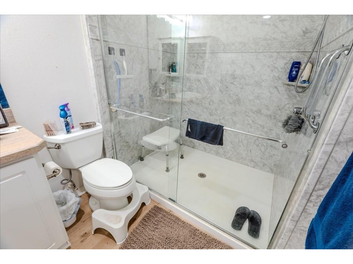 12028 San Angela Drive San Antonio FL 33576 TB8437608 image17