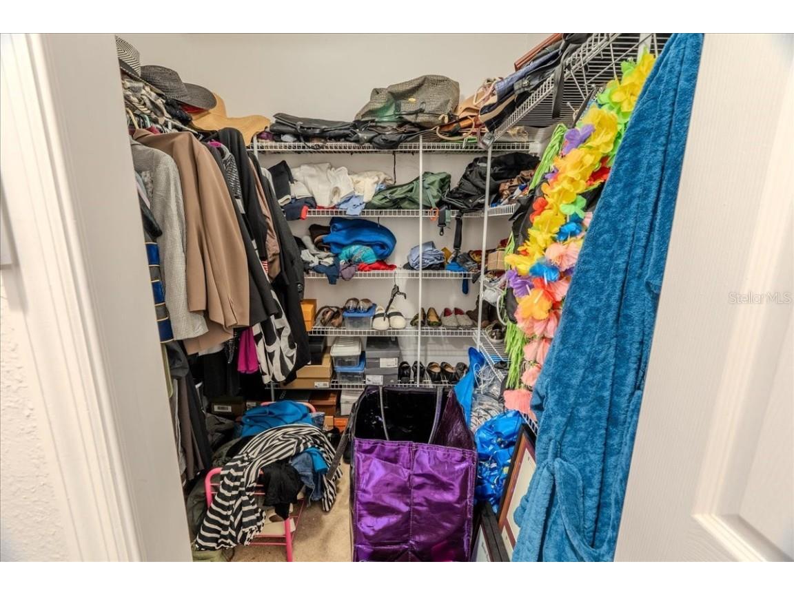 12028 San Angela Drive San Antonio FL 33576 TB8437608 image18