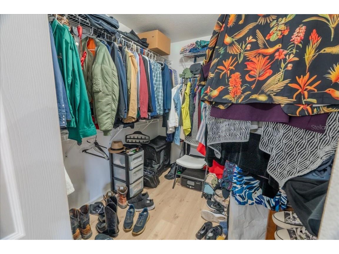 12028 San Angela Drive San Antonio FL 33576 TB8437608 image23