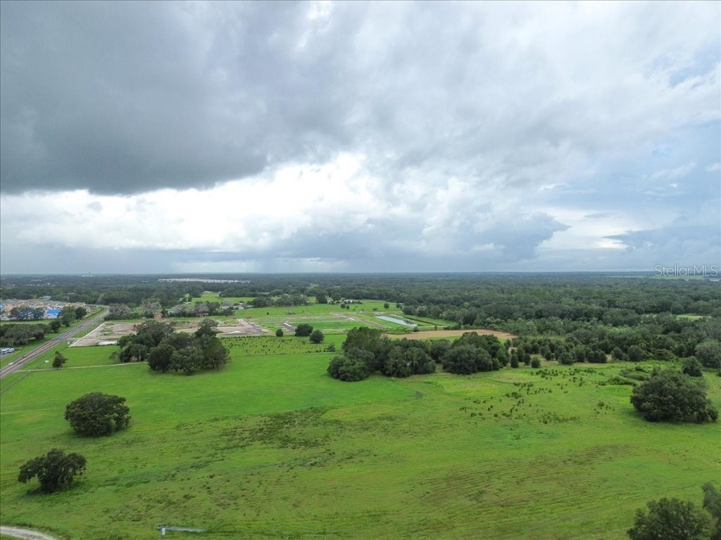 12028 San Angela Drive San Antonio FL 33576 TB8437608 image40