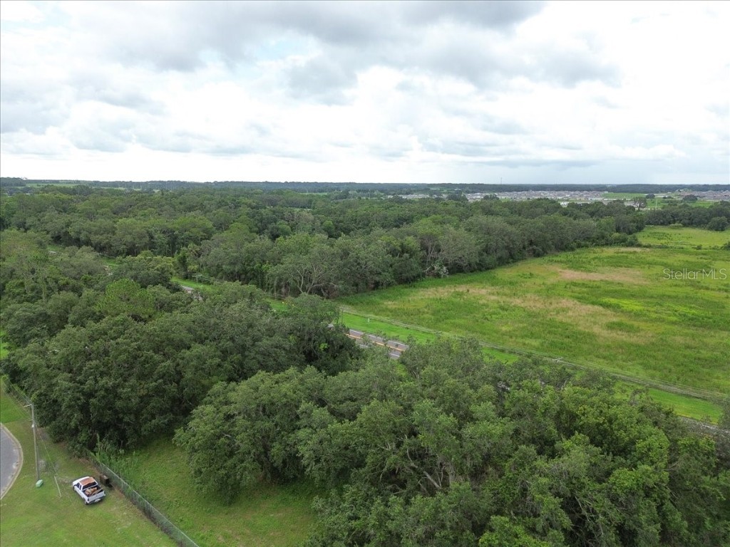 12028 San Angela Drive San Antonio FL 33576 TB8437608 image41