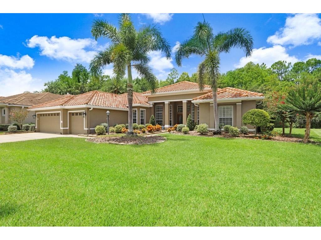 12029 Brewster Drive Tampa FL 33626 TB8411510 image1