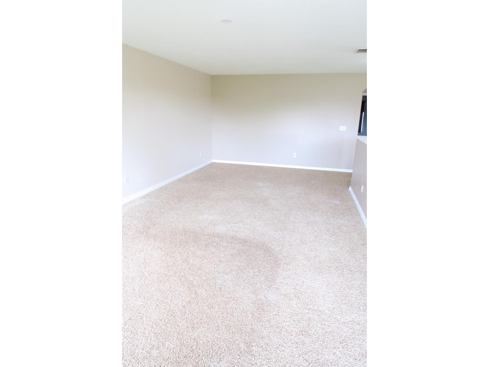 12029 Citruswood Drive Orlando FL 32832 O6420506 image21