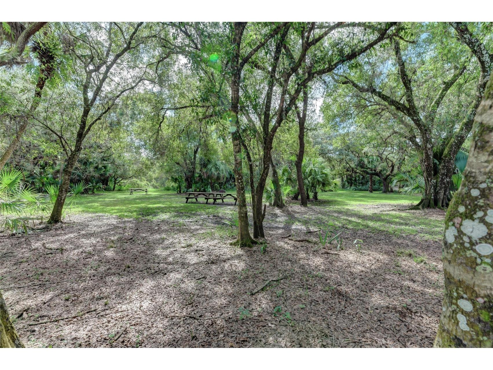 12029 Corsica Lane North Port FL 34287 TB8484134 image26