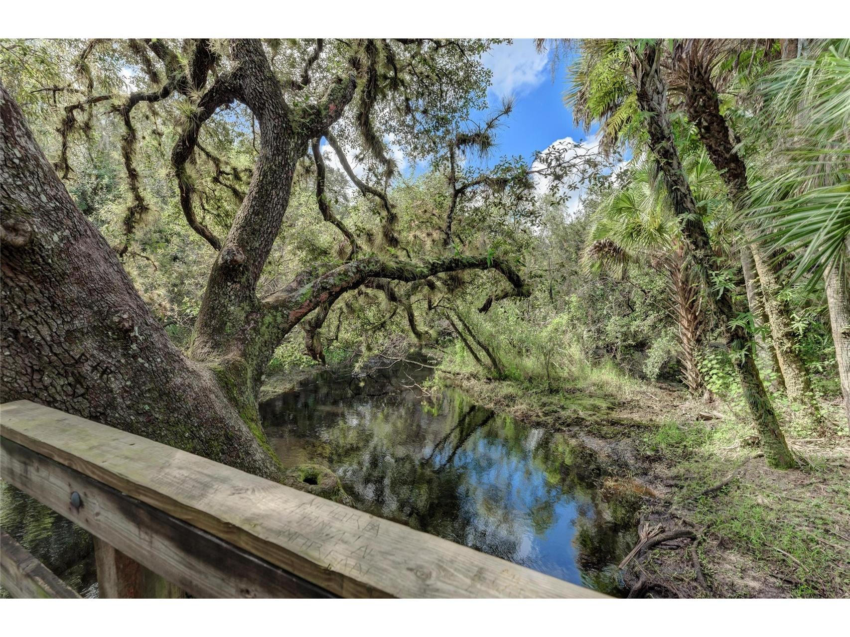 12029 Corsica Lane North Port FL 34287 TB8484134 image36