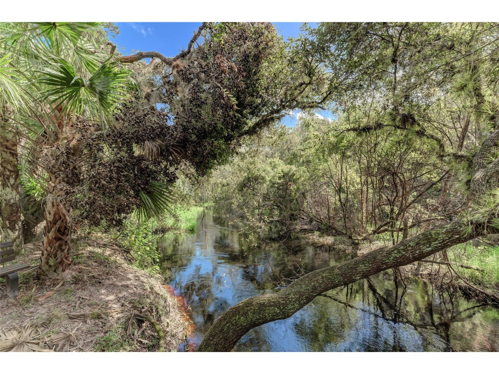 12029 Corsica Lane North Port FL 34287 TB8484134 image45