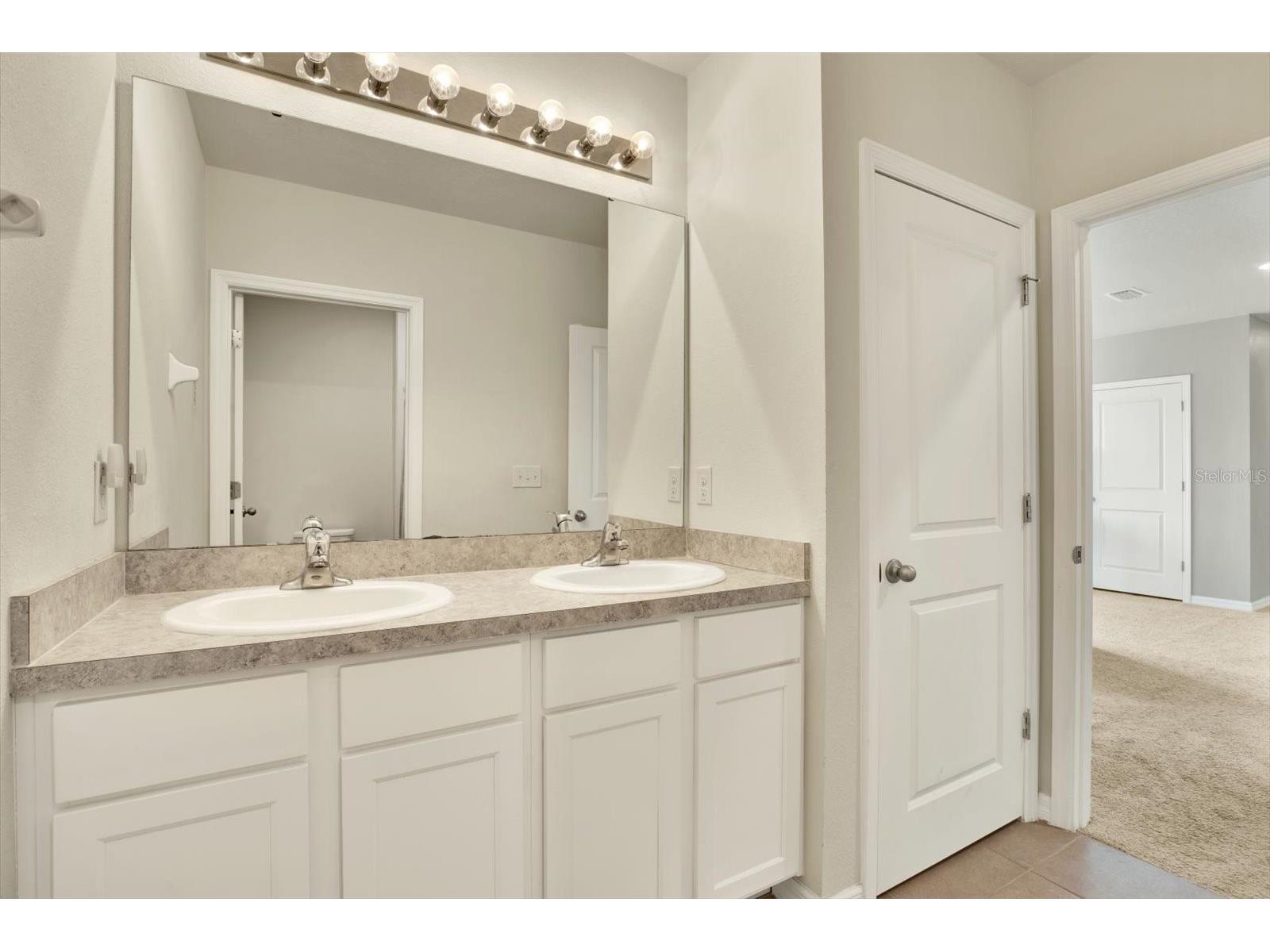 12029 Myrtle Rock Drive Riverview FL 33578 TB8477915 image22