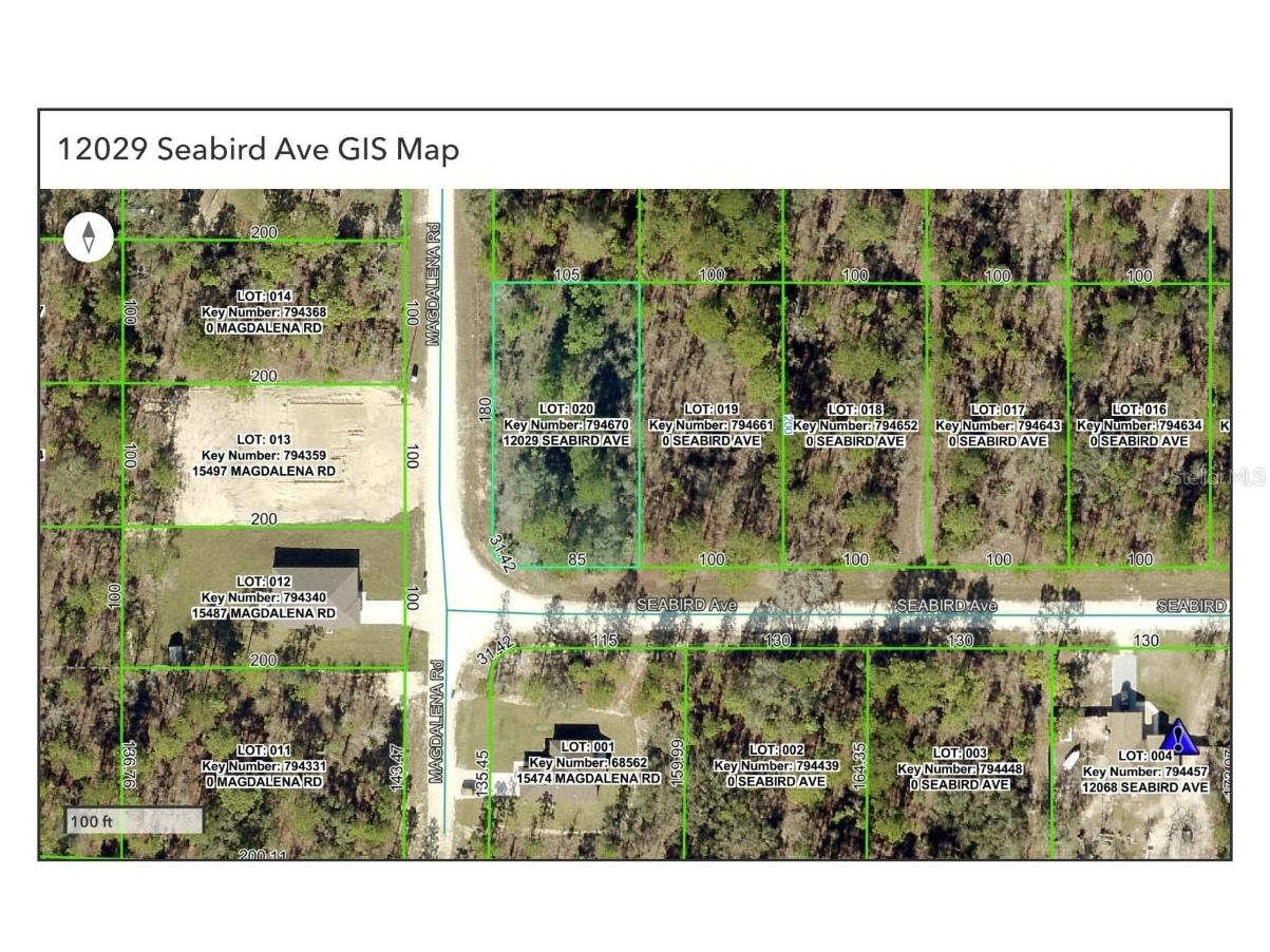 12029 Seabird Avenue Weeki Wachee FL 34614 OM709114 image10