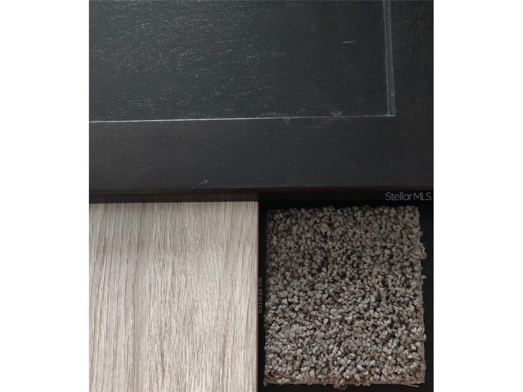 12029 Seabird Avenue Weeki Wachee FL 34614 OM709114 image3