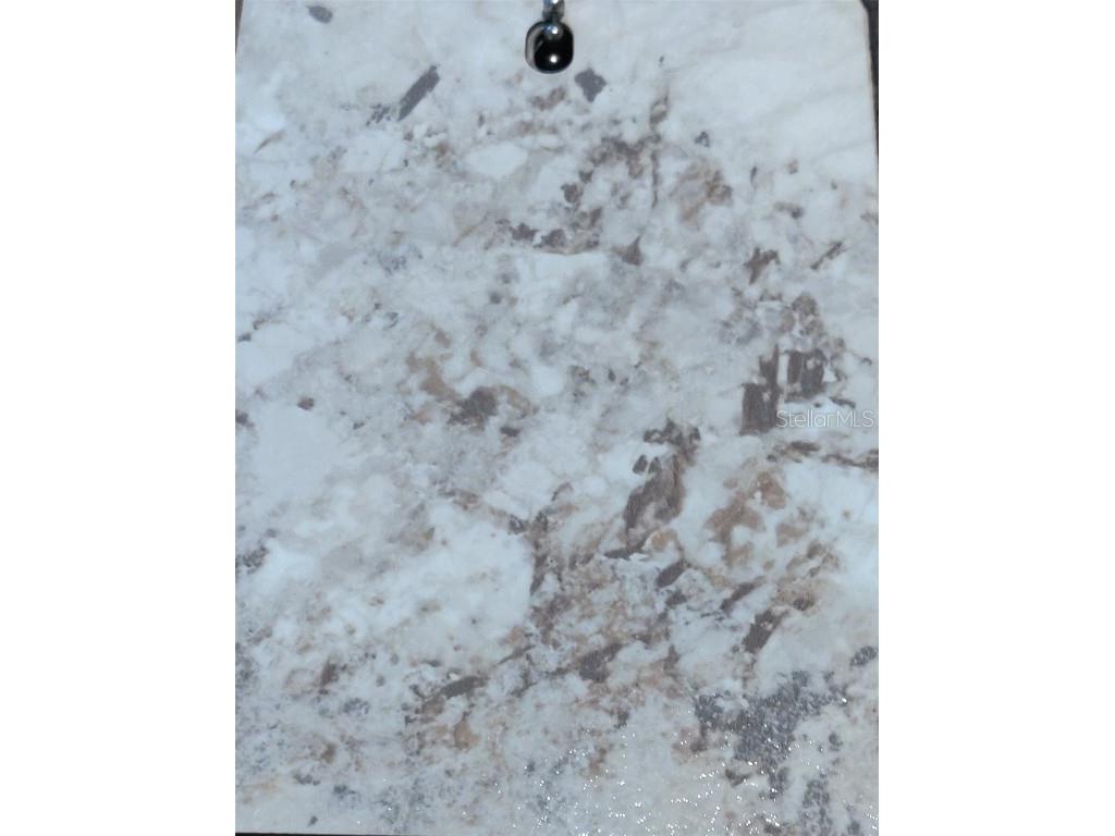 12029 Seabird Avenue Weeki Wachee FL 34614 OM709114 image4