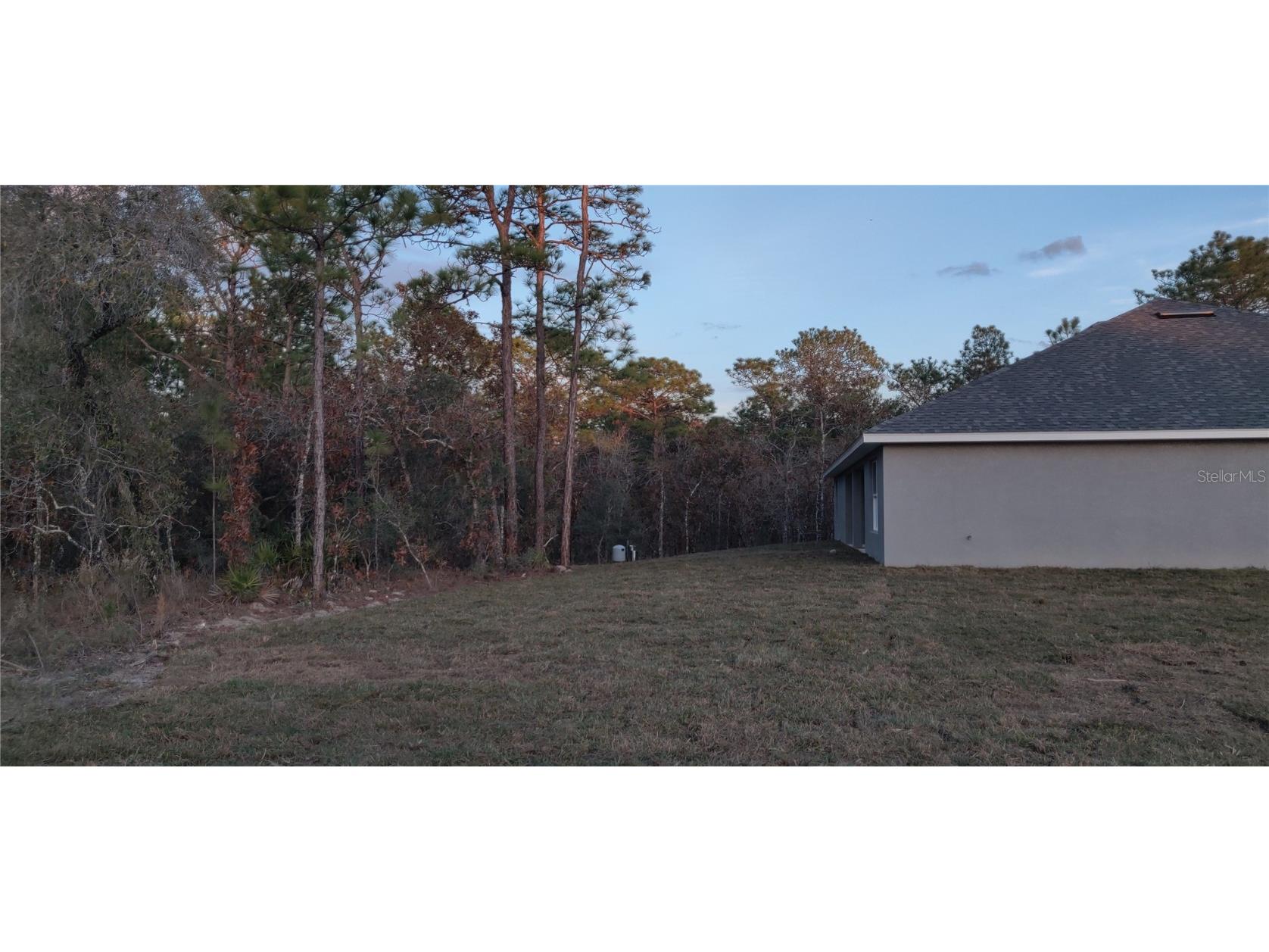 12029 Seabird Avenue Weeki Wachee FL 34614 OM709114 image9