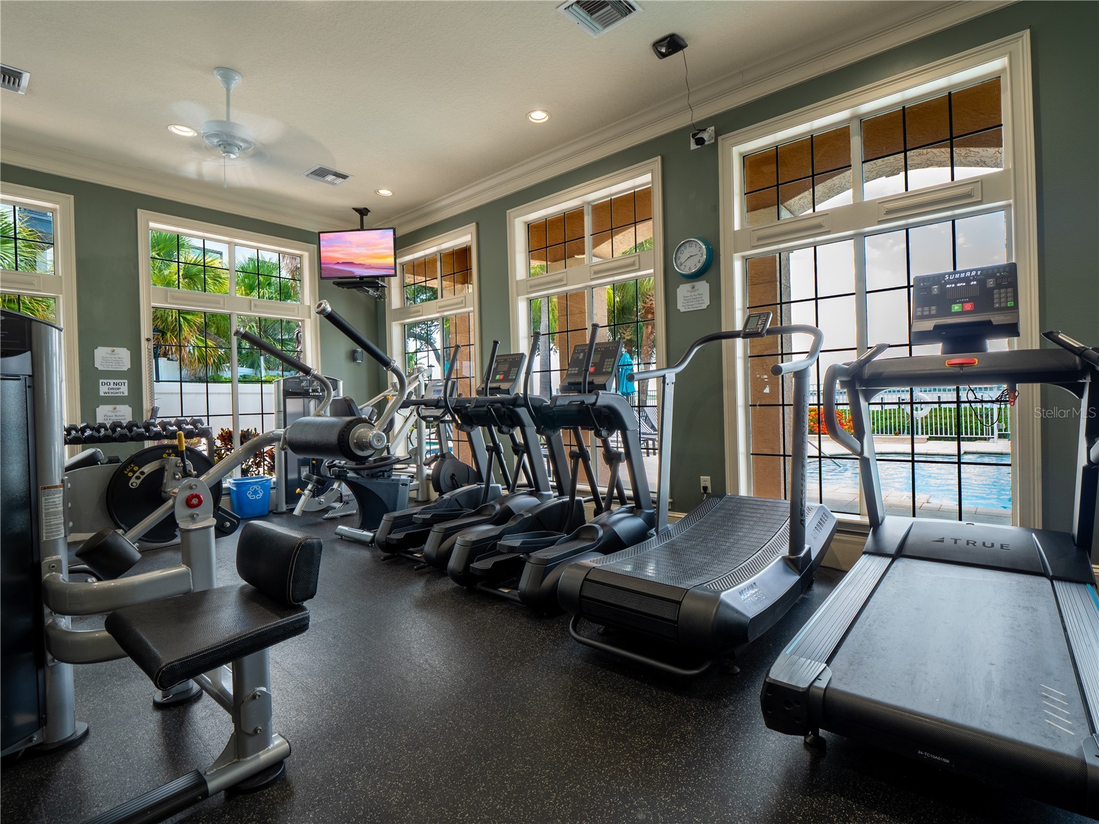 1203 Bay Club Circle #1203 Tampa FL 33607 TB8526565 image30