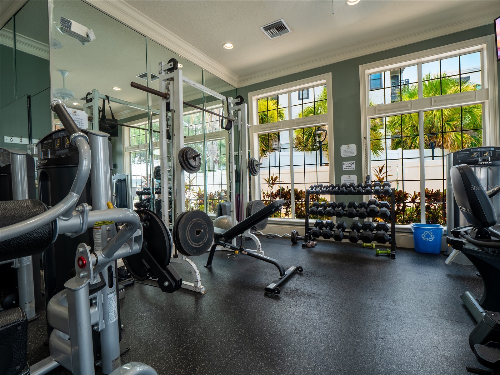 1203 Bay Club Circle #1203 Tampa FL 33607 TB8526565 image31