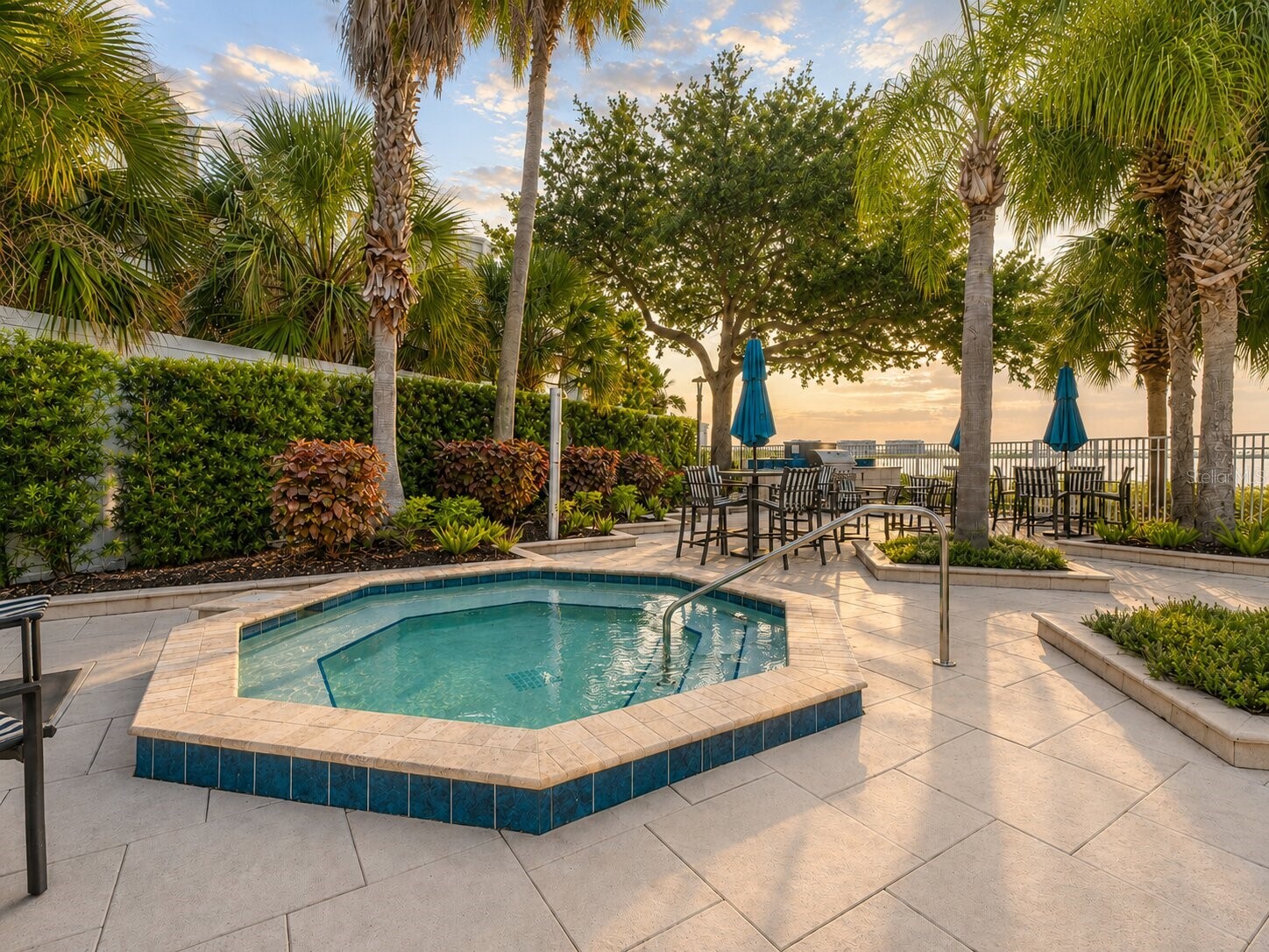 1203 Bay Club Circle #1203 Tampa FL 33607 TB8526565 image35