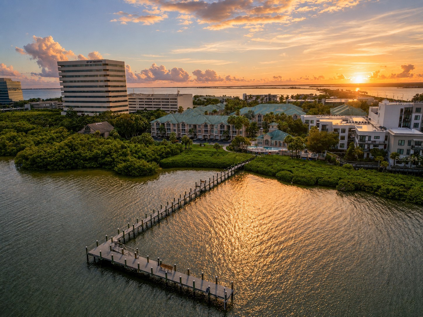 1203 Bay Club Circle #1203 Tampa FL 33607 TB8526565 image43
