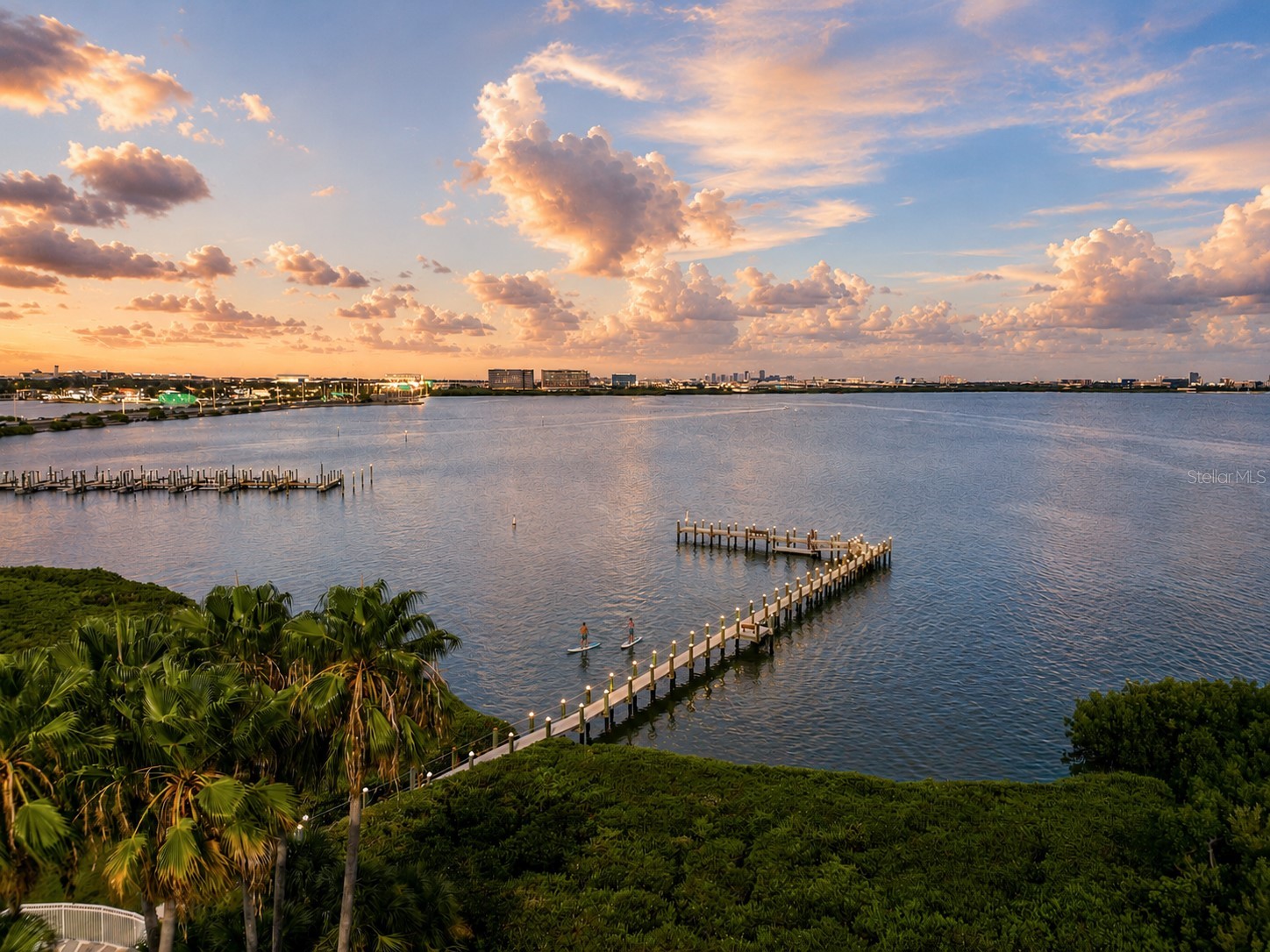1203 Bay Club Circle #1203 Tampa FL 33607 TB8526565 image5