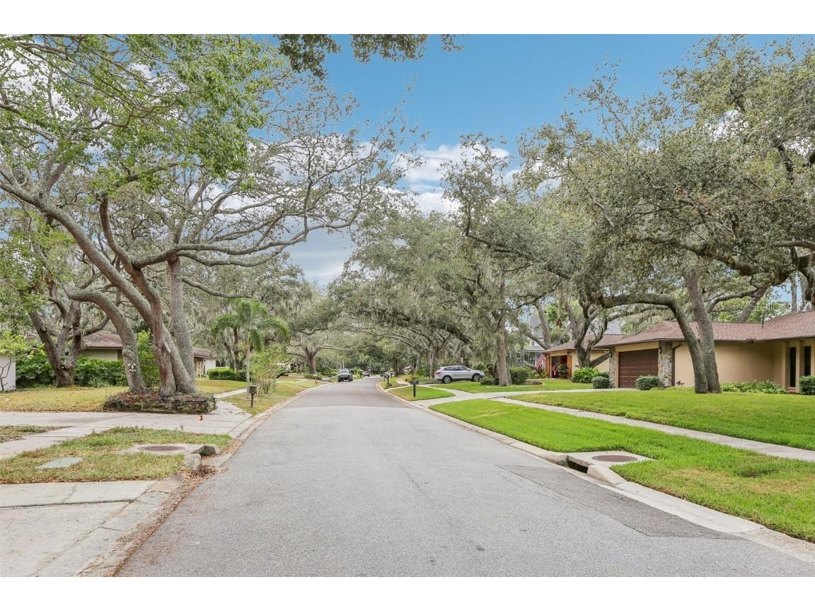 1203 Beacon Hill Drive Tampa FL 33613 TB8437495 image27