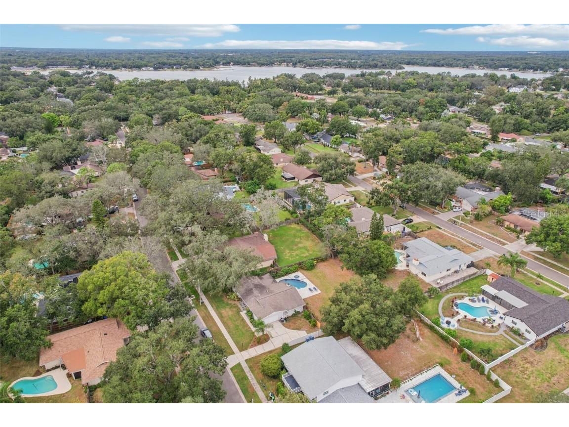 1203 Beacon Hill Drive Tampa FL 33613 TB8437495 image29