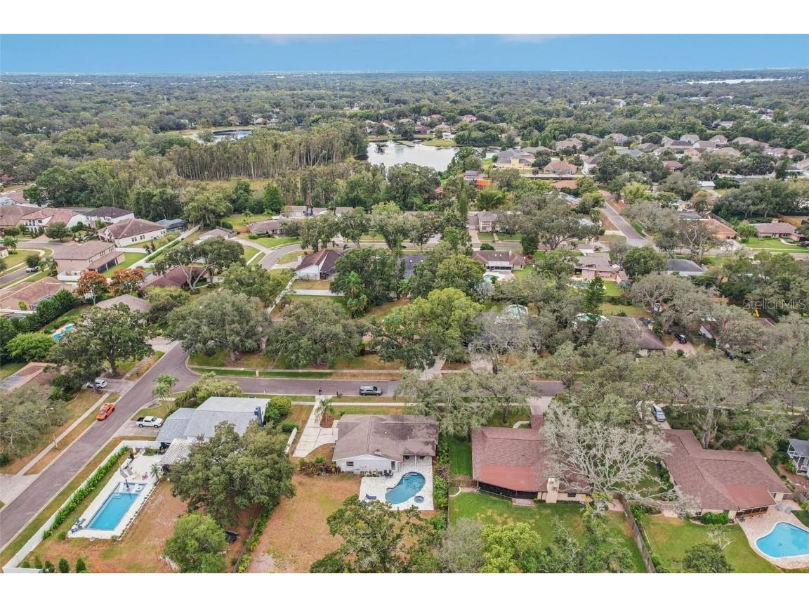 1203 Beacon Hill Drive Tampa FL 33613 TB8437495 image30