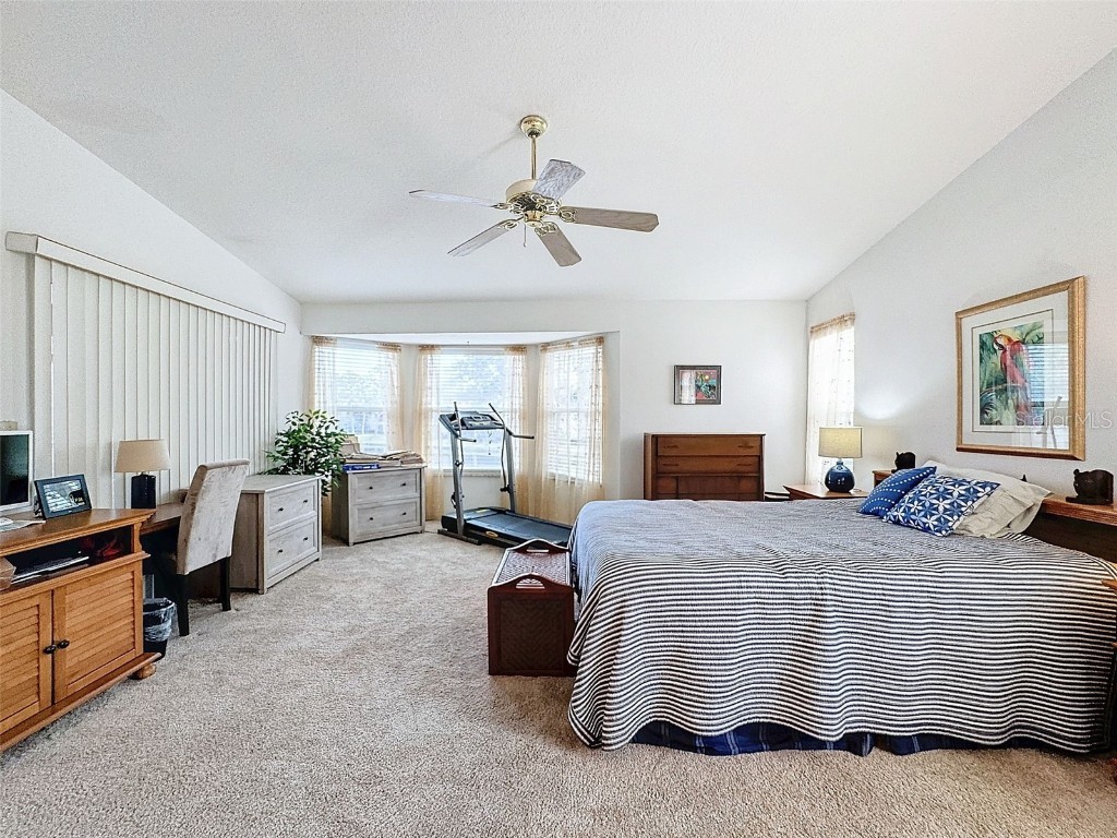 1203 Clays Trail #406 Oldsmar FL 34677 W7871895 image25