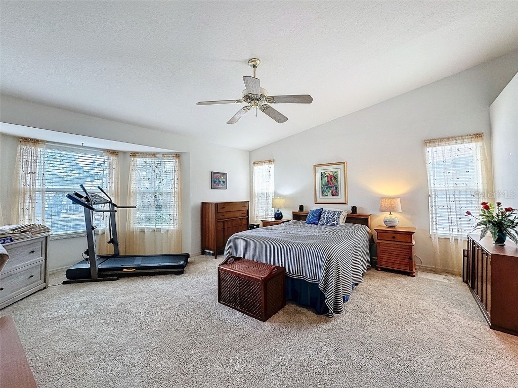 1203 Clays Trail #406 Oldsmar FL 34677 W7871895 image26