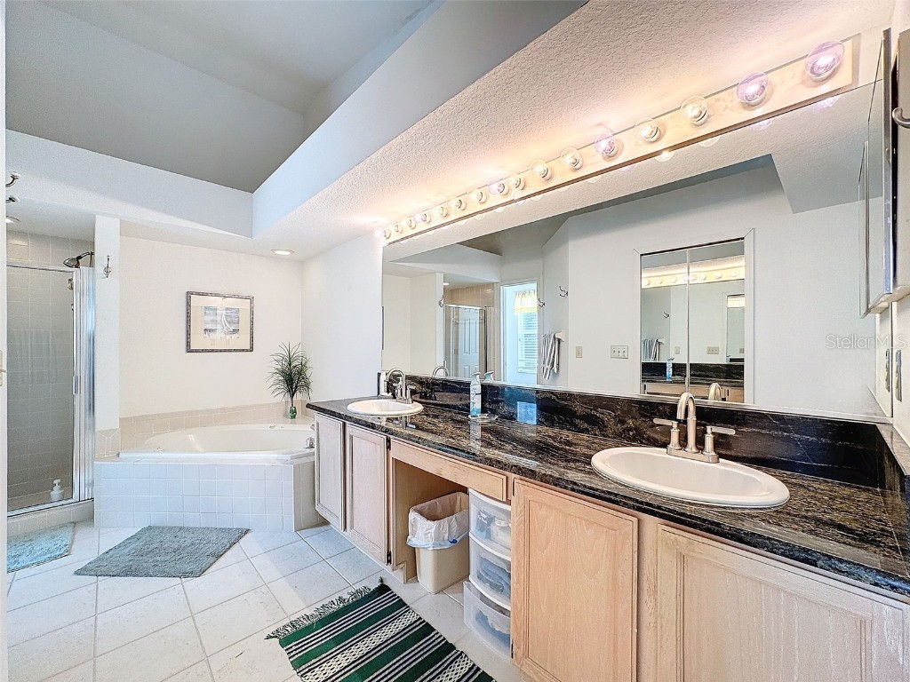 1203 Clays Trail #406 Oldsmar FL 34677 W7871895 image29