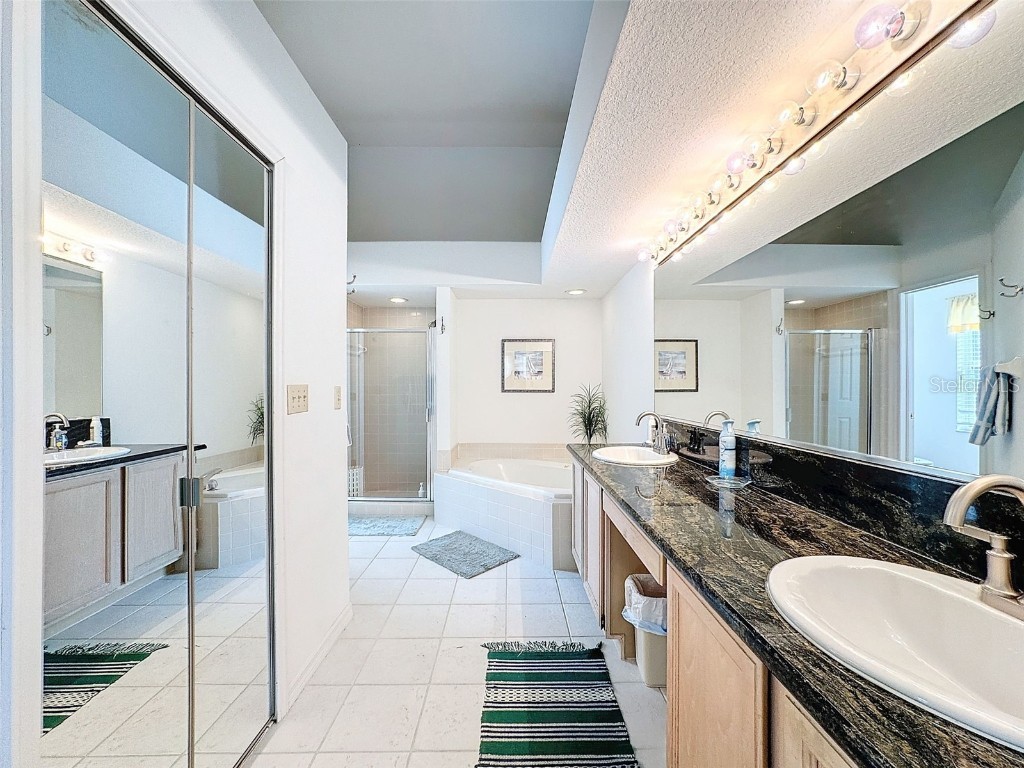 1203 Clays Trail #406 Oldsmar FL 34677 W7871895 image30