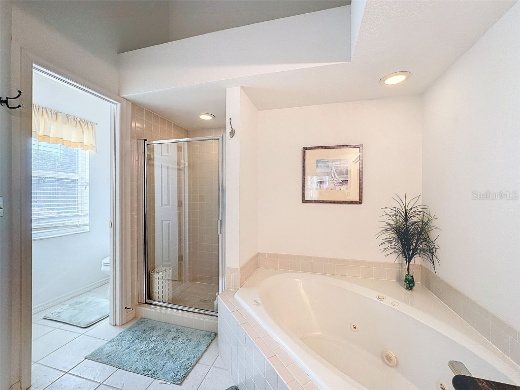 1203 Clays Trail #406 Oldsmar FL 34677 W7871895 image31