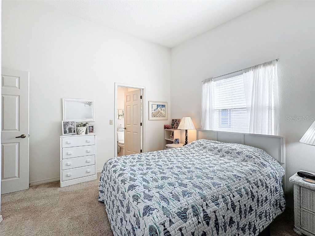 1203 Clays Trail #406 Oldsmar FL 34677 W7871895 image33