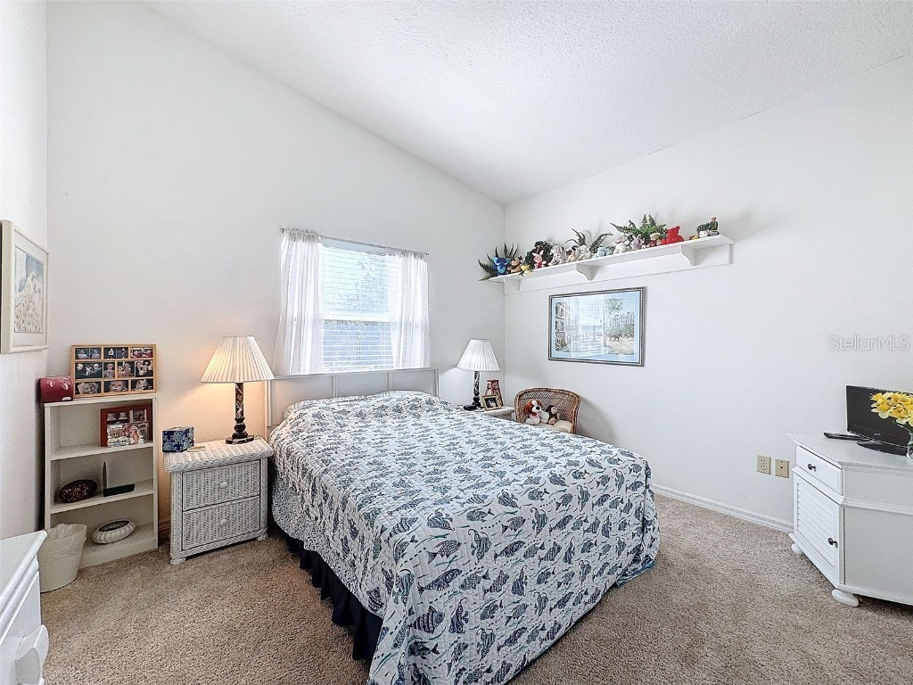 1203 Clays Trail #406 Oldsmar FL 34677 W7871895 image34