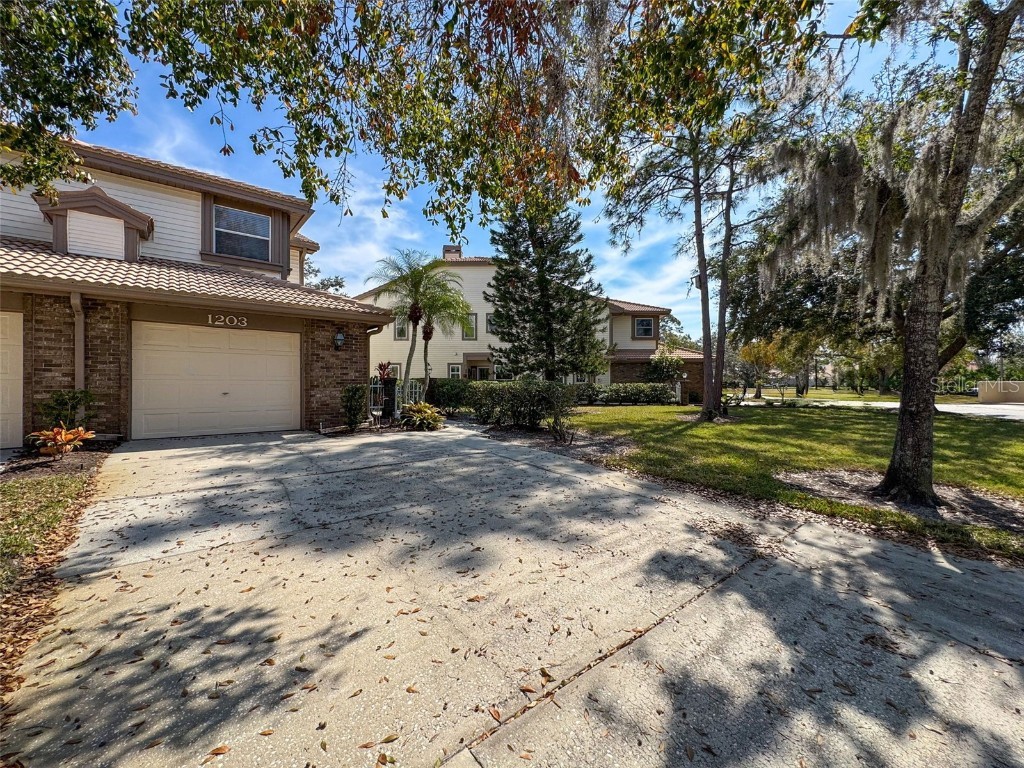 1203 Clays Trail #406 Oldsmar FL 34677 W7871895 image4
