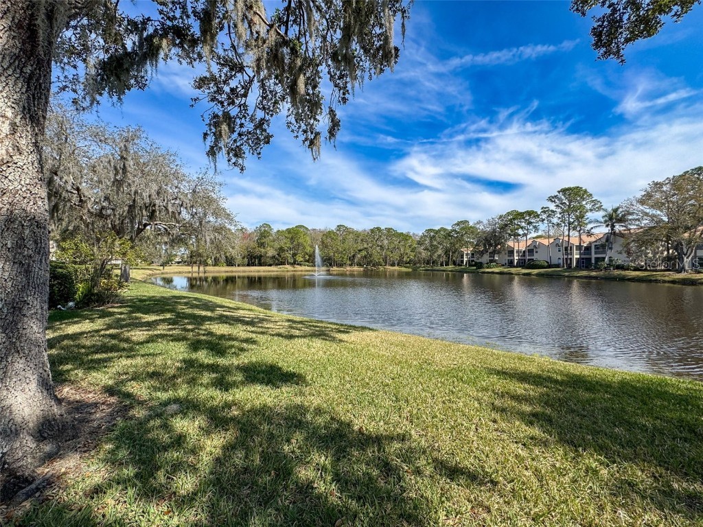 1203 Clays Trail #406 Oldsmar FL 34677 W7871895 image42