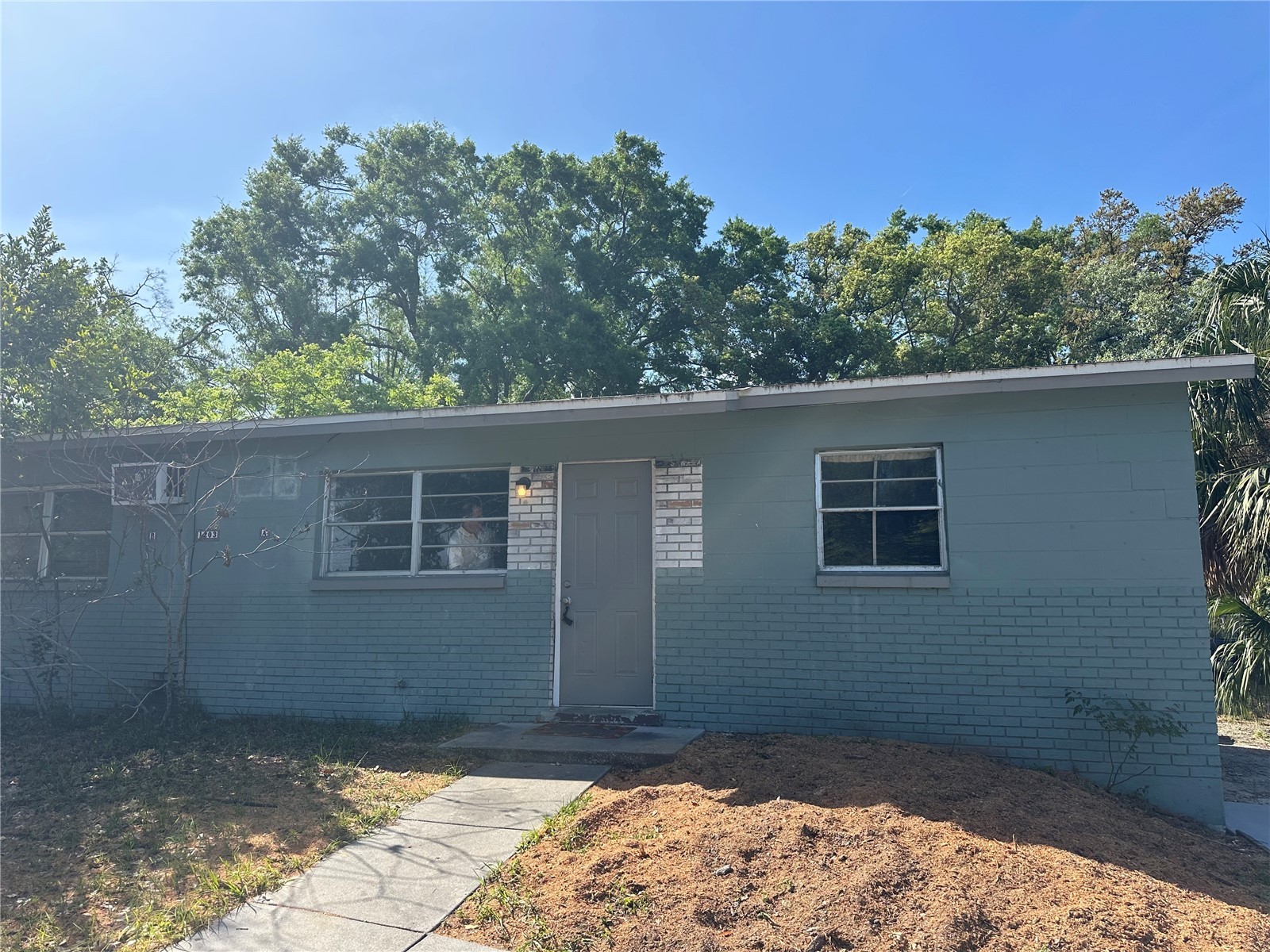 1203 E Annie Street Tampa FL 33612 TB8494935 image6