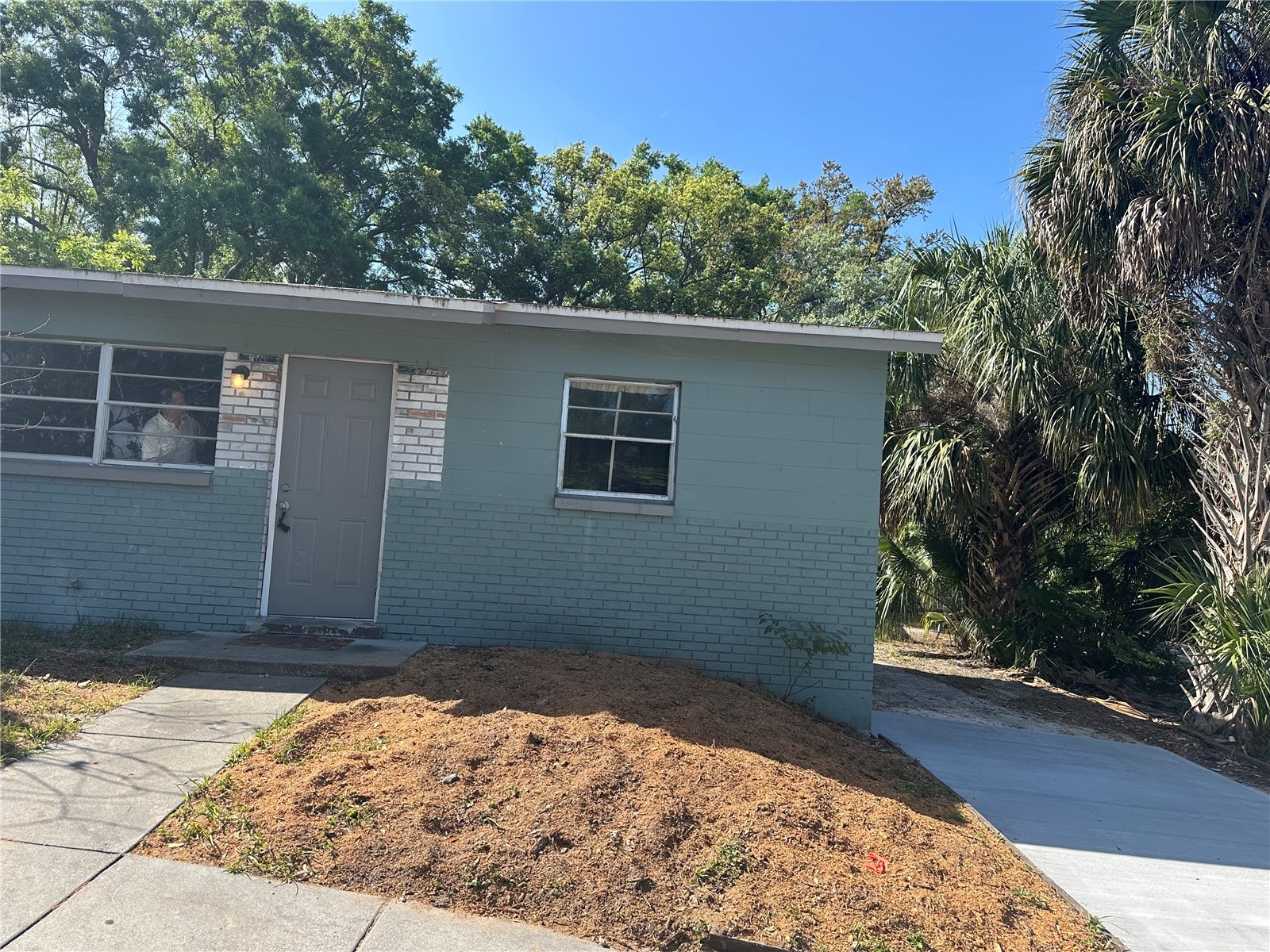 1203 E Annie Street Tampa FL 33612 TB8494935 image7