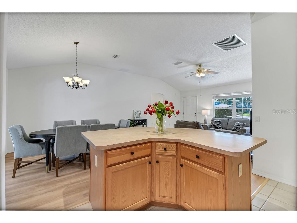 1203 Laurel Oak Lane Lady Lake FL 32159 G5105498 image14