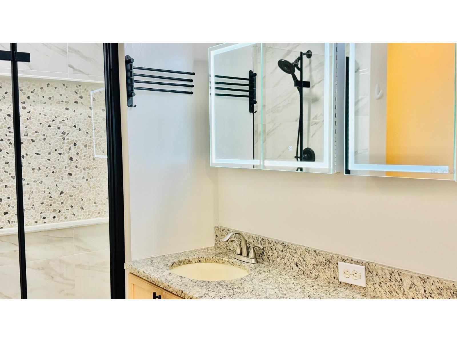 1203 Sandestin Way Orlando FL 32824 S5154177 image12