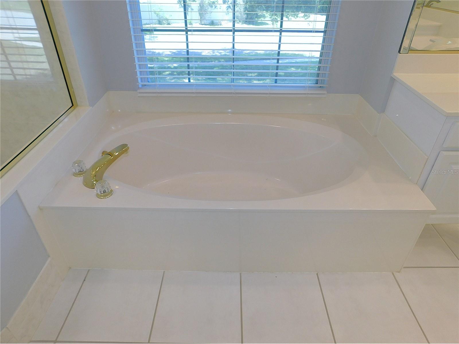 1203 SE 49th Avenue Ocala FL 34471 OM722802 image48