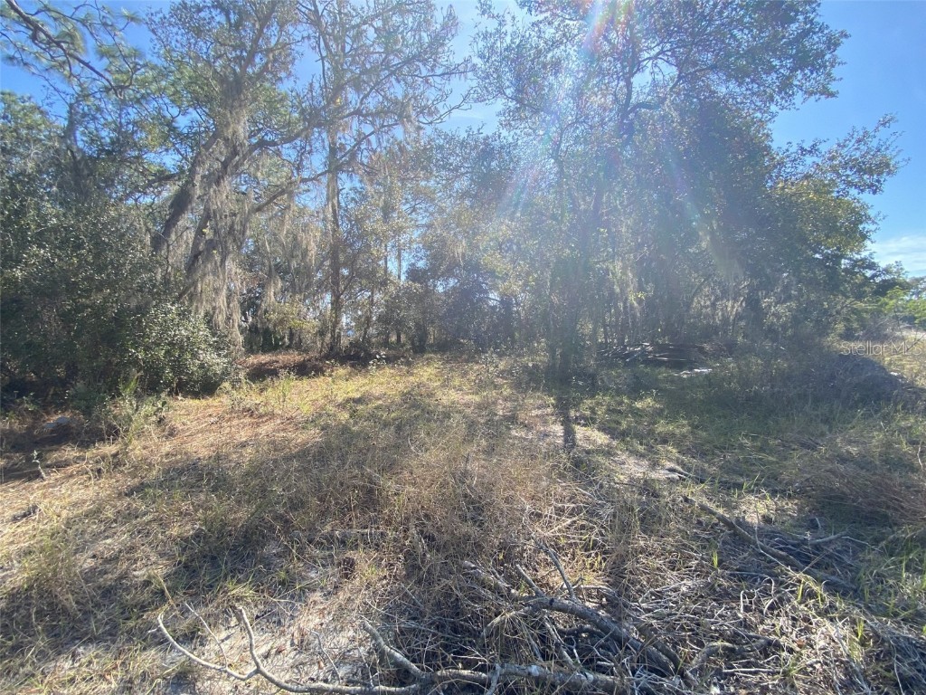 1203 Vernon Lane Kissimmee FL 34759 TB8348277 image1