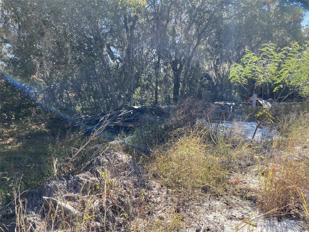 1203 Vernon Lane Kissimmee FL 34759 TB8348277 image2
