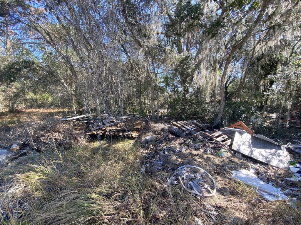 1203 Vernon Lane Kissimmee FL 34759 TB8348277 image3